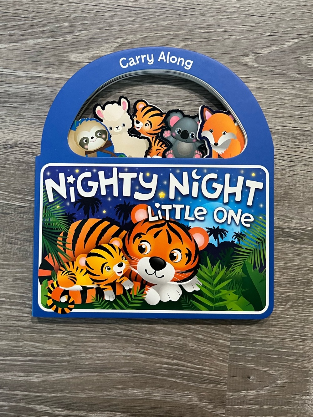 Nighty Night Little One Carry-Along Board Book